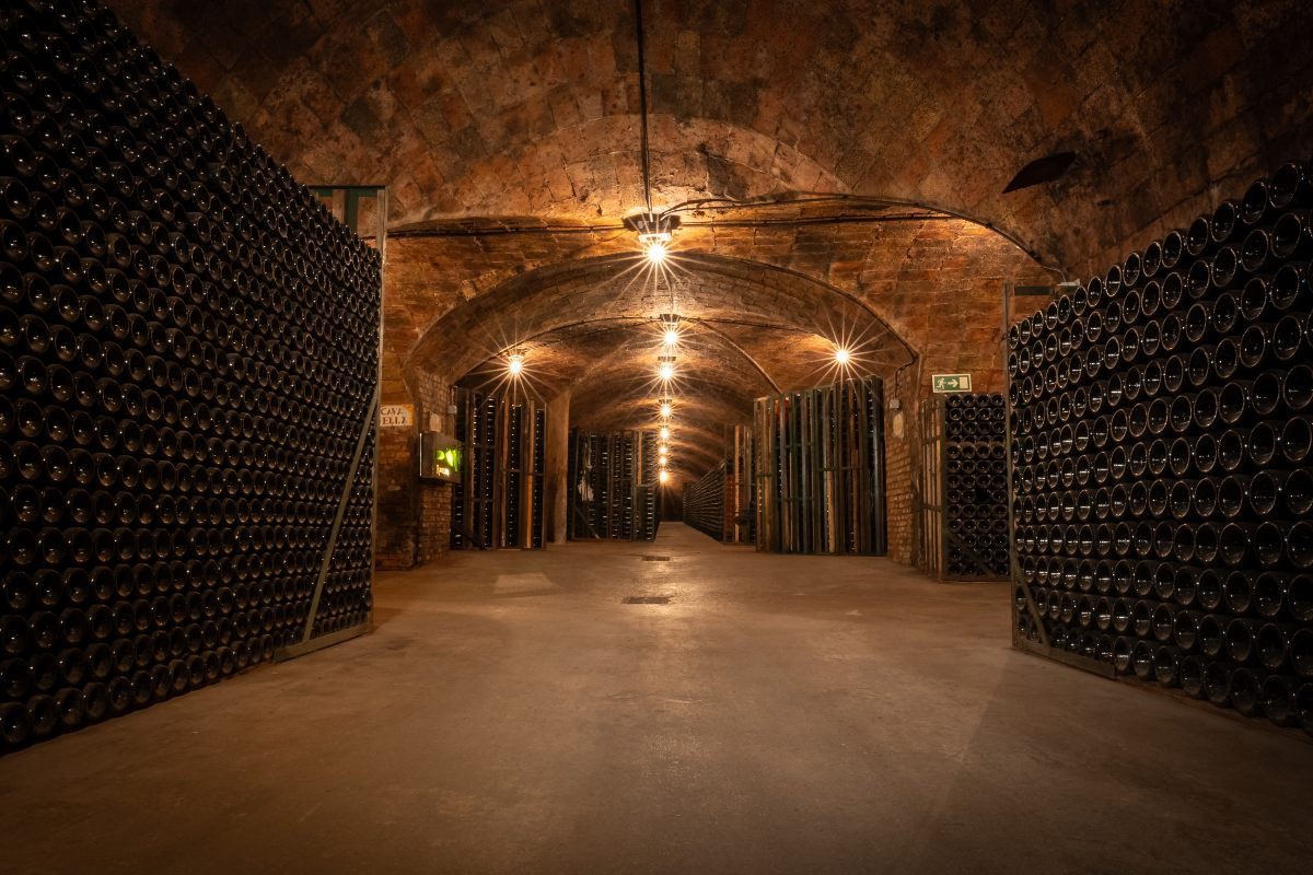 La cava subterrània del Rovellats, de 12 m de profunditat, amb una arquitectura radial única al món.