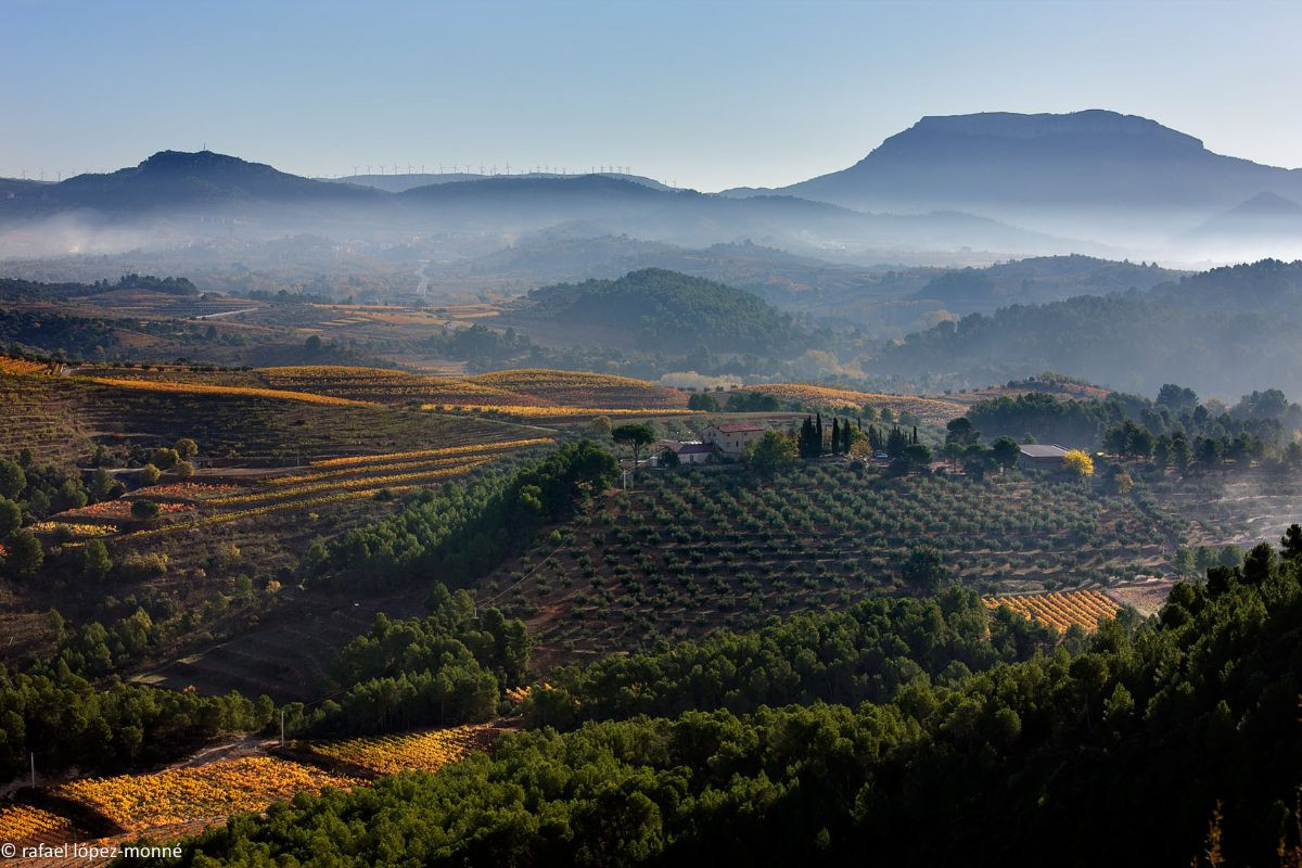 La finca i el celler Mas d'en Gil, a Bellmunt del Priorat.