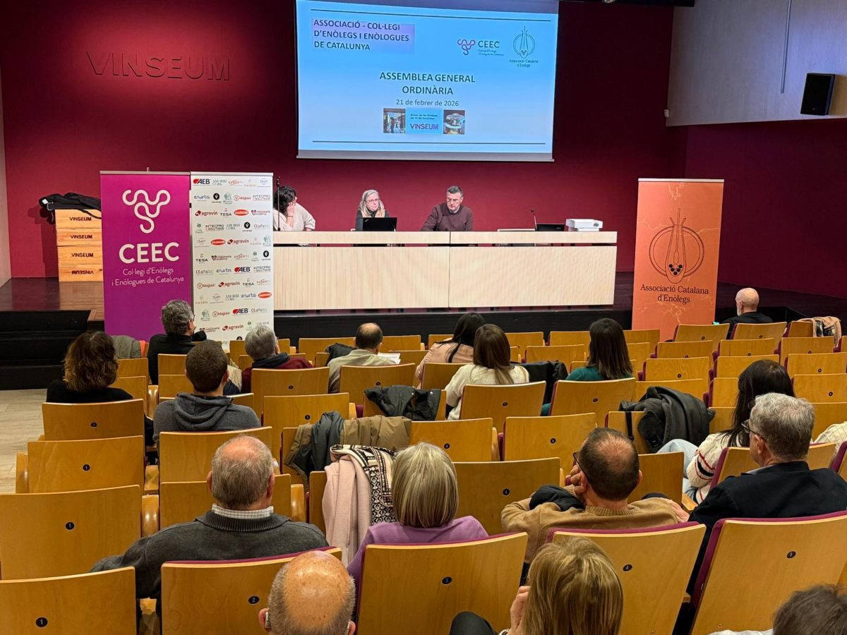 Vista general de la 42a Assemblea General de l’Associació Catalana d’Enòlegs i del Col·legi d’Enòlegs i Enòlogues de Catalunya.