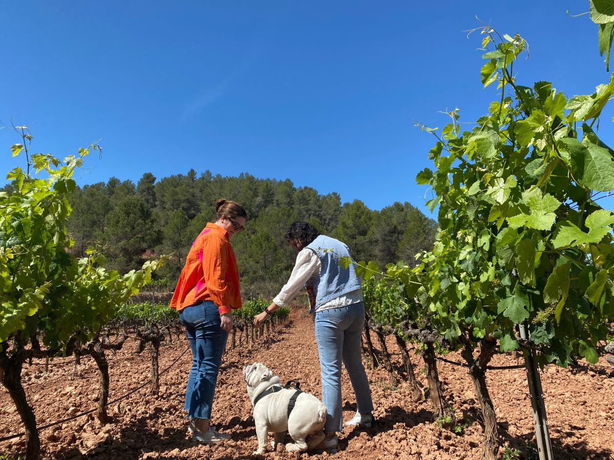 Passejada entre vinyes amb mascotes, una de les propostes d’enoturisme del Celler Masroig per Setmana Santa.