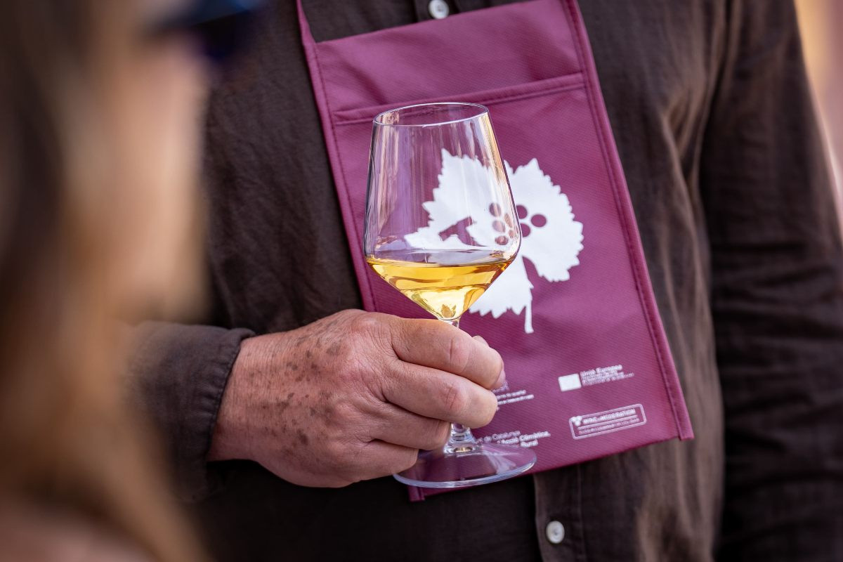 La DO Terra Alta aposta per tastos i experiències per apropar els seus vins al consumidor final.