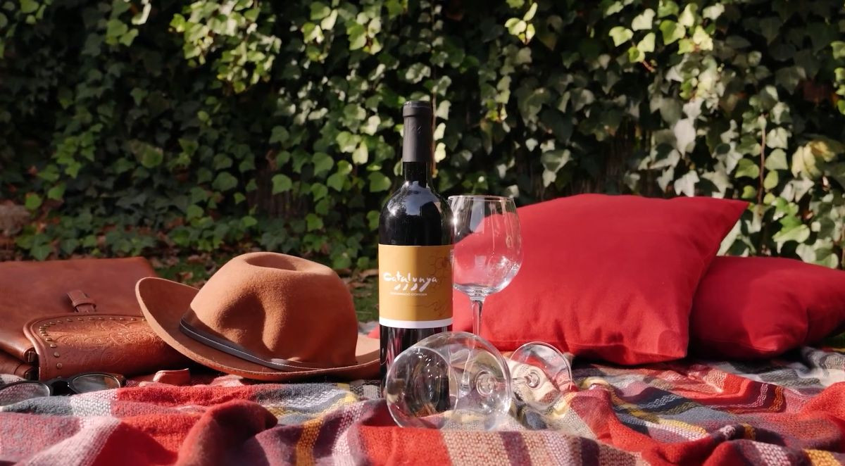 Vins de la DO Catalunya per gaudir de l’estiu.