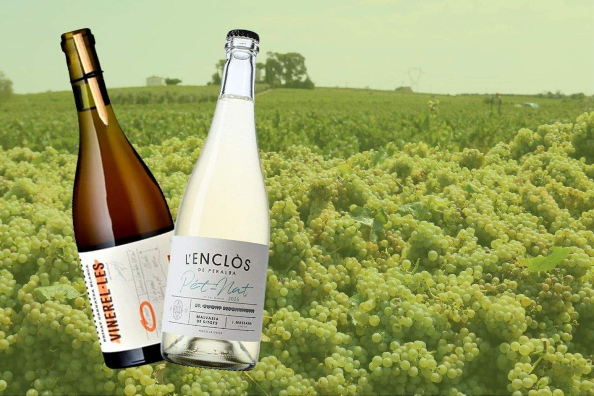 En Pol Aluja ens recomana 2 grans vins de mínima intervenció.