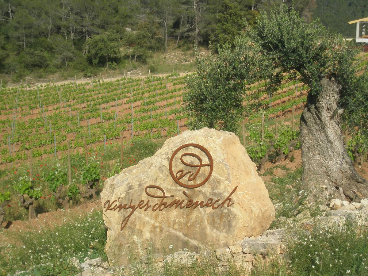 La Garnatxa protagonitzarà una setmana de celebració arreu de Catalunya.